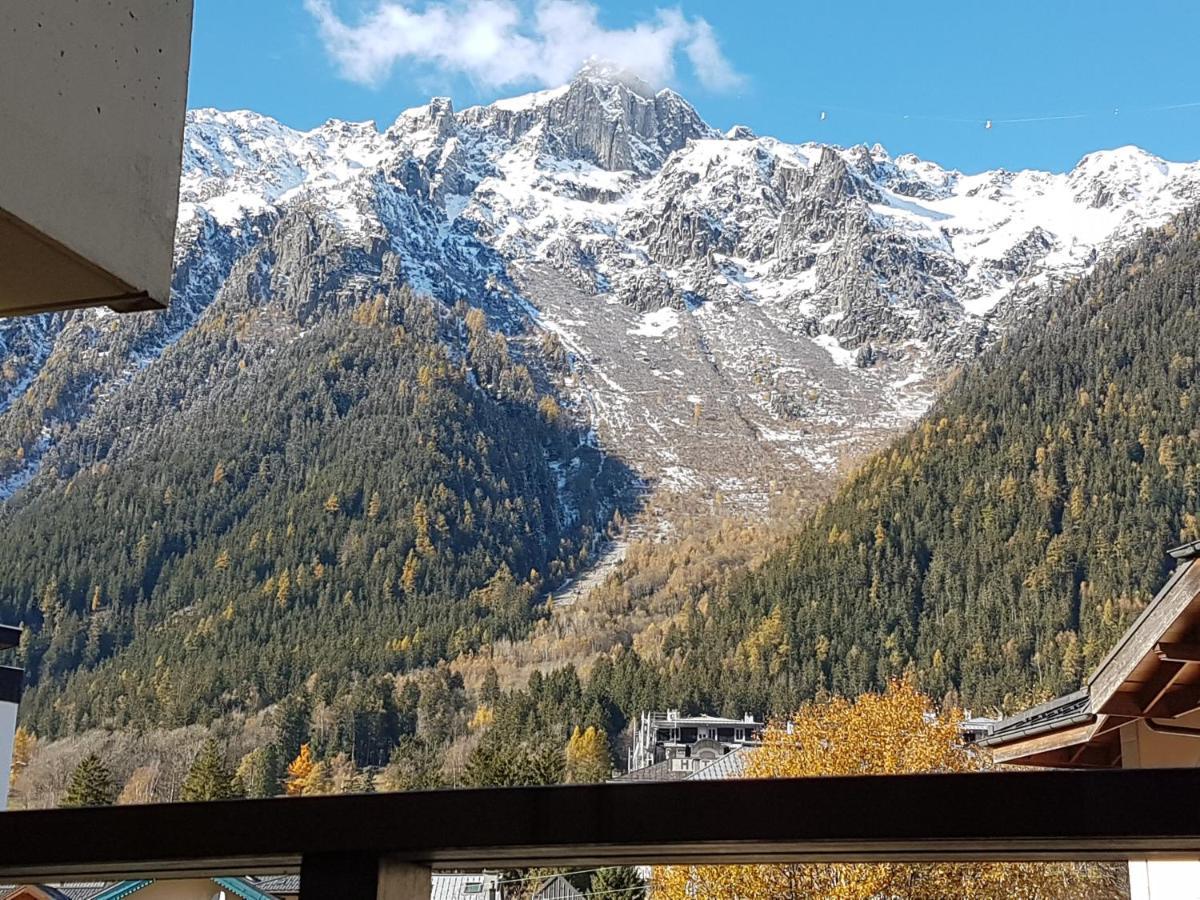 Vue Brevent Sublime En Centre Ville Avec Parking Prive Chamonix Eksteriør bilde