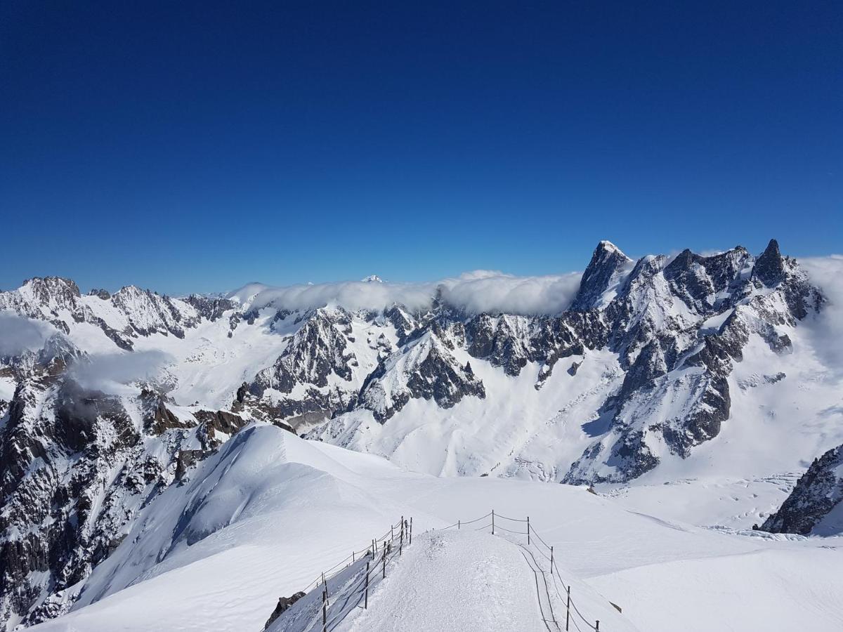 Vue Brevent Sublime En Centre Ville Avec Parking Prive Chamonix Eksteriør bilde